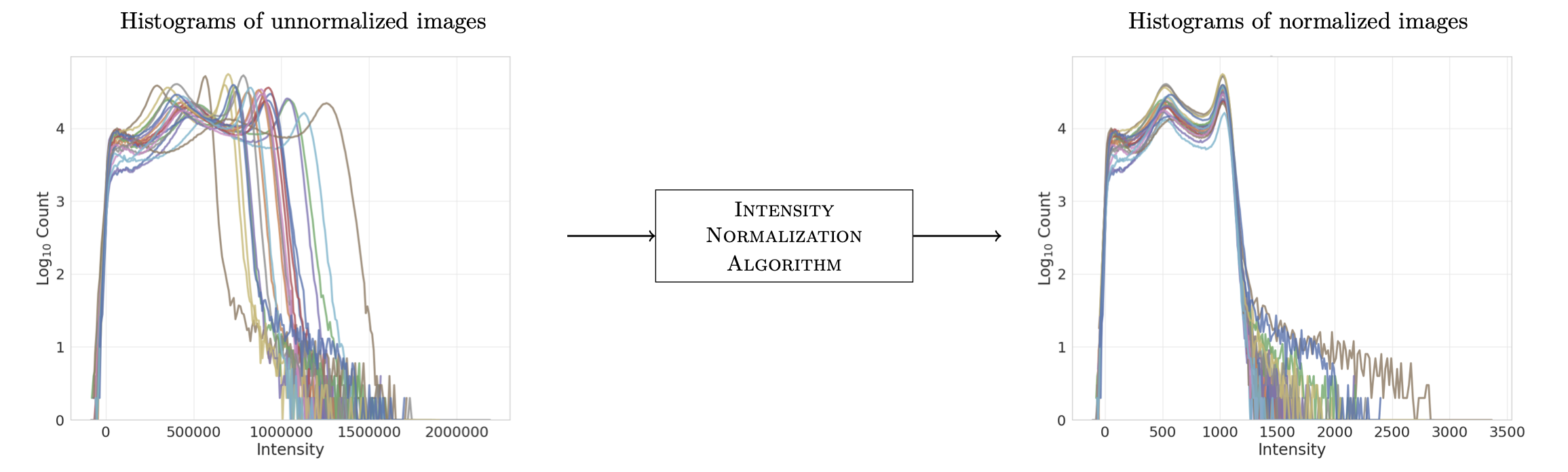 Before/after intensity normalization